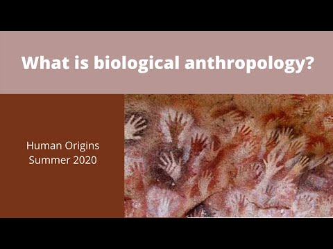 What is biological anthropology?