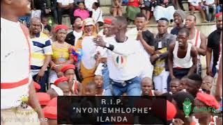 ilanda #R.I.P nyoni emhlophe uwudlalile ushameni