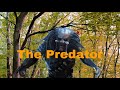 The predator Life#124