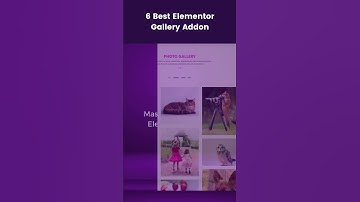 6 Best Elementor Gallery Addons #elementor #addons