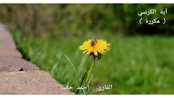 آية الكرسي مكرره سبع مرات للقارئ أحمد خضر 💜