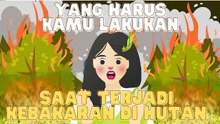 Kenali Penyebab dan Pencegahan Kebakaran Hutan dan Lahan
