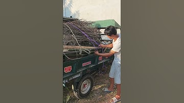 Tricycle cargo bundling skills demonstration - the whole process of rope fastening