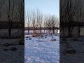 Продажа участка в Романовке.