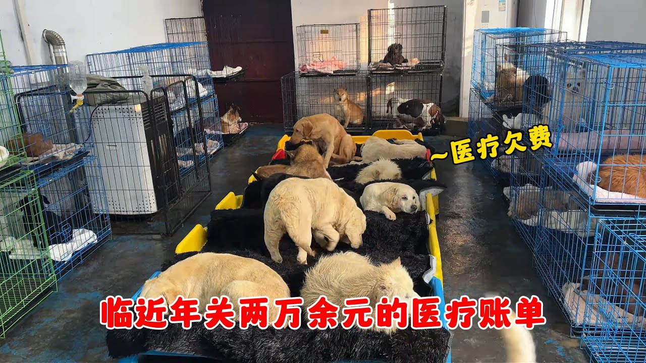 小院醫療欠費壓頂，臨近年關兩萬余元的醫療賬單，讓守護更加艱難