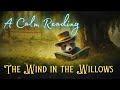 🦝 A Calm Reading of "The Wind in the Willows" - Full Audiobook for Sleep 😴