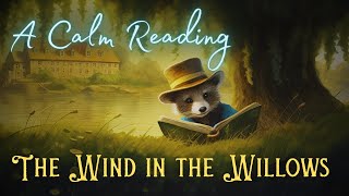 🦝 A Calm Reading of "The Wind in the Willows" - Full Audiobook for Sleep 😴 screenshot 5