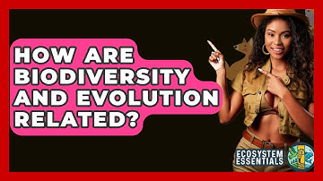 How Are Biodiversity And Evolution Related? - Ecosystem Essentials