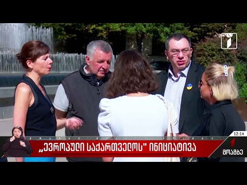„ევროპული საქართველოს“ ინიციატივა