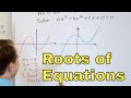 01 - Visualize Roots of Equations - Linear, Quadratic, Cubic, Quartic Solutions