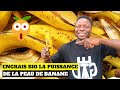 Comment faire de lengrais organique liquide  partir de la peau de banane 