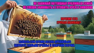 видео: Почему ГОТОВИТЬ ПЧЁЛ В ЗИМУ ЗАЖИМАТЬ ГНЕЗДО ПЧЁЛ В АВГУСТЕ это ГРУБАЯ ОШИБКА не ТОРОПИСЬ УСПЕЕШЬ ✅🐝🐝 картинка: Почему ГОТОВИТЬ ПЧЁЛ В ЗИМУ ЗАЖИМАТЬ ГНЕЗДО ПЧЁЛ В АВГУСТЕ это ГРУБАЯ ОШИБКА не ТОРОПИСЬ УСПЕЕШЬ ✅🐝🐝