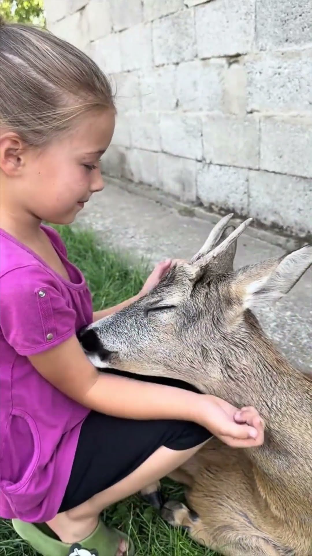 Girl Gently Embraces a Calm Roe Deer