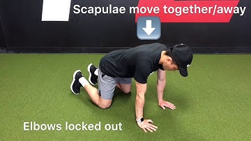 Quadruped Scapular Pushup