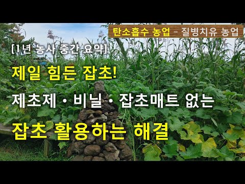 힘든 잡초 문제! - 자연적 토양 살리기 풀 해결