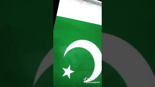 Aye Watan Mere Awbad Rhy Tu By Hamzamughal27 Tiktok Video