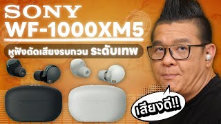 รีวิว Sony WF-1000XM5 หูฟัง TWS ที่ตัดเสียงรบกวนดีที่สุด ใส่สบายไม่หล่นง่าย ขนาดเล็กกระทัดรัด