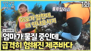 [인간극장 레전드 #231-1] 엄마가 물질 중이신데?! 급격히 험해지는 제주 바다 | 엄마의 바다 (1/2) [KBS 130415-130419 방송]