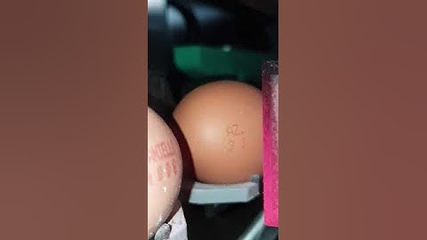 Z5000 EGGS - Egg printing in detail 3/3