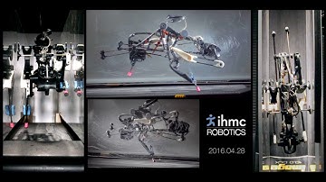 Elliptical Runner Montage