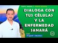 DIALOGA CON TUS CÉLULAS Y TU ENFERMEDAD SANARÁ   Terapia 2 Versión Mejorada