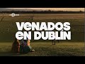 La fábrica de Guinness! Irlanda 3