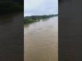 Lagatar barish hone se Baad ka mahol #shortvideo #farming