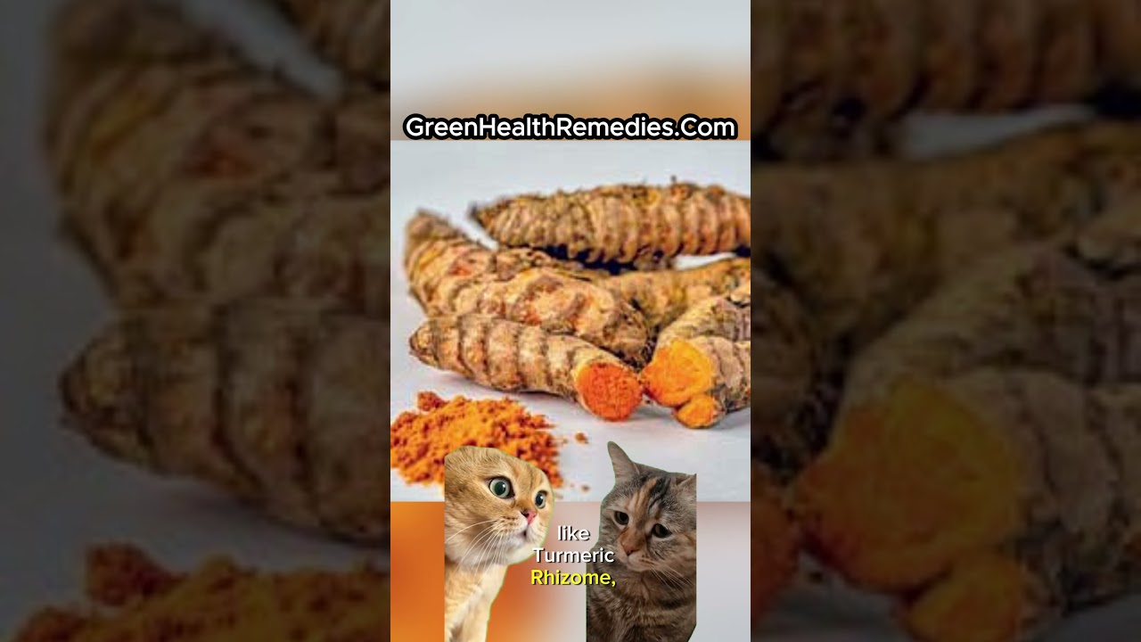 CelluCare Review #CelluCare, #BloodSugarSupport, #NaturalSupplements, #HealthyLiving, #Wellness