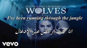 اغنية Selena Gomez Marshmello Wolves مترجمة تحميل Download Mp4 Mp3