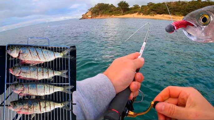 Basic two lures for Beach HERRING Fishing 