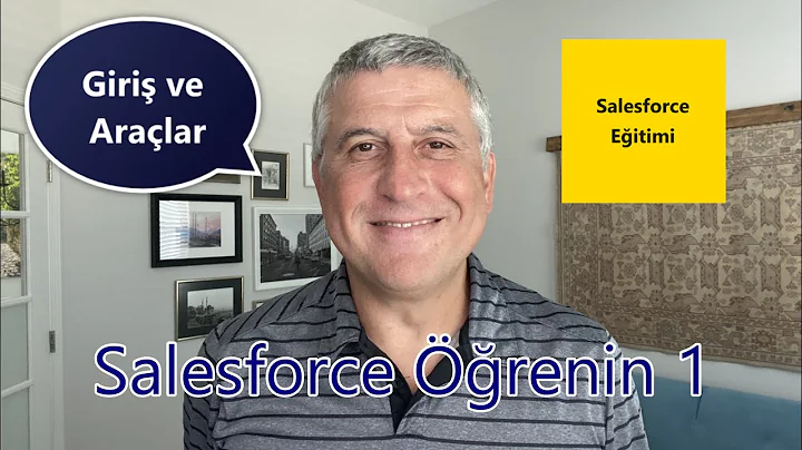 Salesforce renin Eitimi 1: Giri ve Aralar