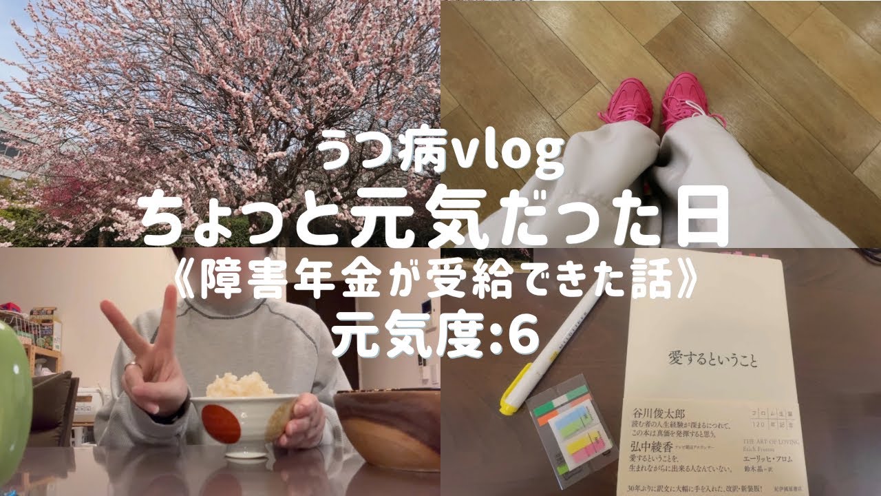 【うつ病vlog】ちょっと元気だった1日 | 障害年金が受給できた話