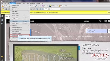adobe acrobat 9 professional how to create a pdf by using a web page demo