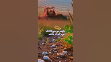 دحيم الحماد ١٤٤٦هـ ماتيسر من سورة الملك