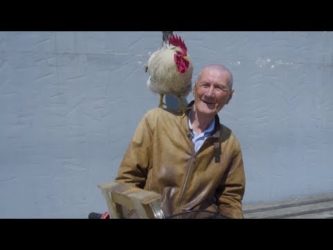 თამთას, ბუხუტის, რუსკას ბანკი