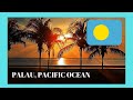 PALAU: Exploring the beautiful city of Koror 🏖️🏘️, what to see!  (Pacific Ocean)