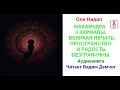 Оле Нидал.  Махамудра 3-го Кармапы. Великая печать.Пространство и радость безграничны (Аудиокнига)