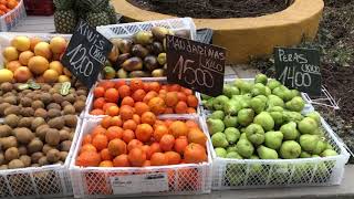 Visita de Tutifruti a Chiloé 1221