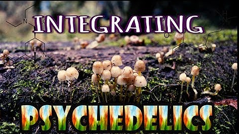 How To INTEGRATE The Psychedelic Experience