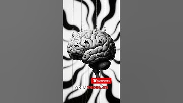 🌀 The Echo Chamber Effect Your Reality Filtered