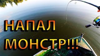 Ловля судака и окуня | Рыбалка на спиннинг | Обидный сход