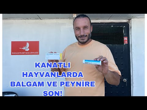 Kanatlı Hayvanlar -PEYNİR  HASTALIĞINA SON