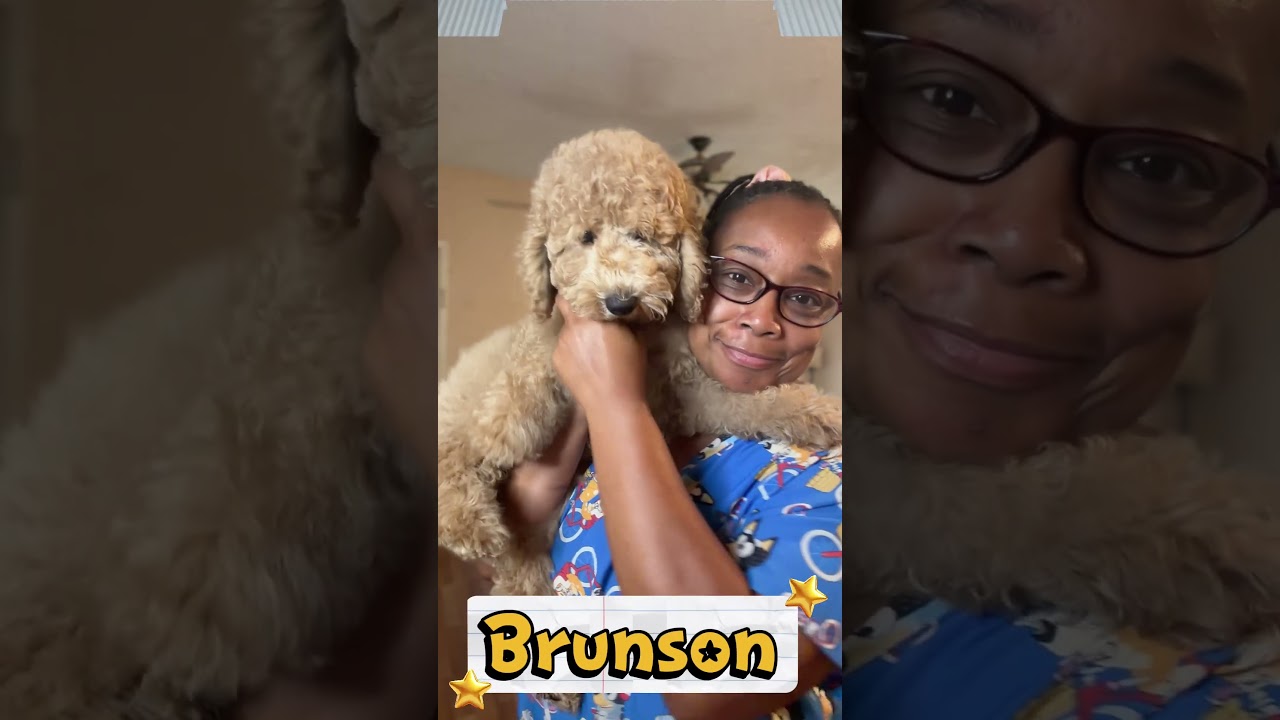 Meet Brunson Video