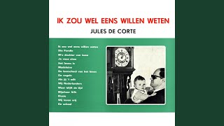 Video thumbnail of "Jules de Corte - De Vogels"