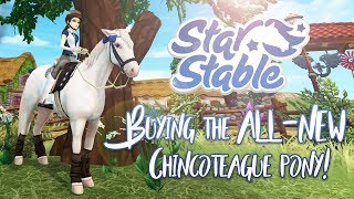 Buying the NEW Chincoteague pony! | Star Stable Updates