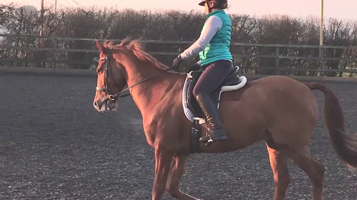 Vicky Baxter & Larry. Novice 27
