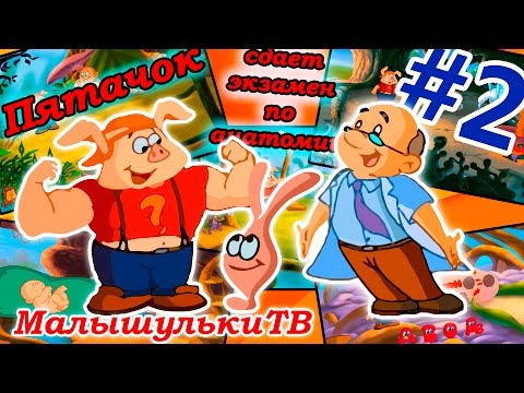 Пятачок сдает экзамен