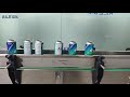 Automatic labeling machine