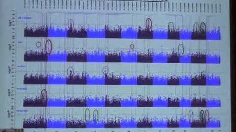 Leon Kochian talk at Boyce Thompson Institute, March 2014