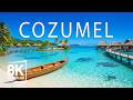 Cozumel, Mexico 8K Ultra HD 🌊 Discover Crystal Beaches, Coral Reefs & Caribbean Island Beauty